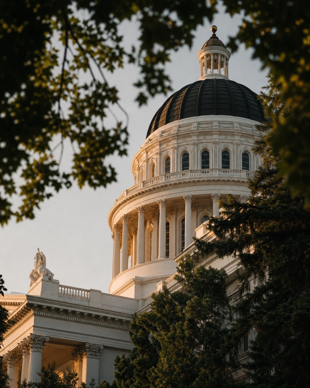 The California State Capitol building in Sacramento, seen from below through trees at golden hour.